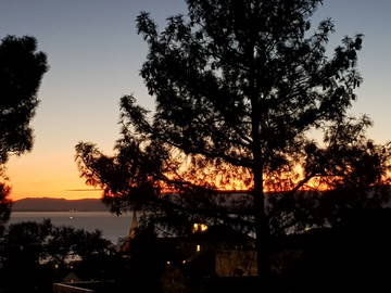 Gastfamilie Pully 231143-8