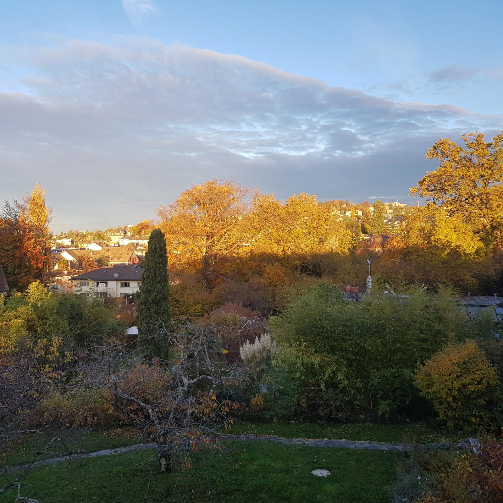 Quedarse En Casa Pully 231143