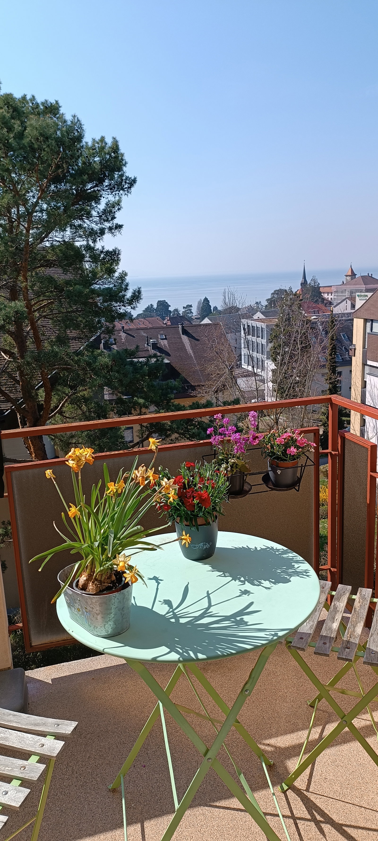 Quedarse En Casa Pully 231143