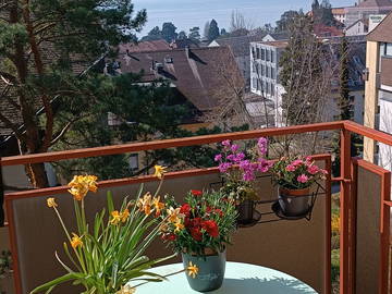 Chambre Chez L'habitant Pully 231143-9