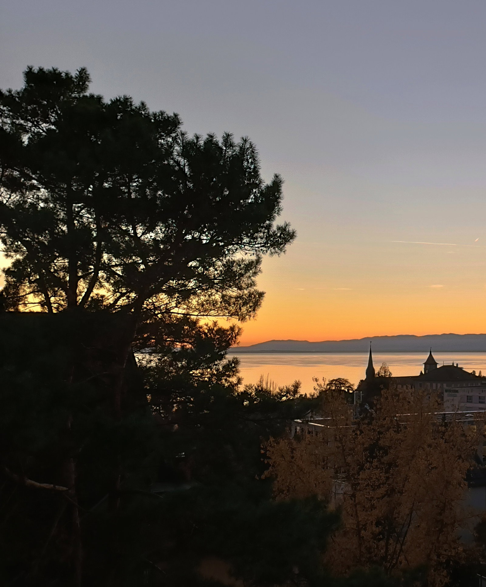 Quedarse En Casa Pully 231143