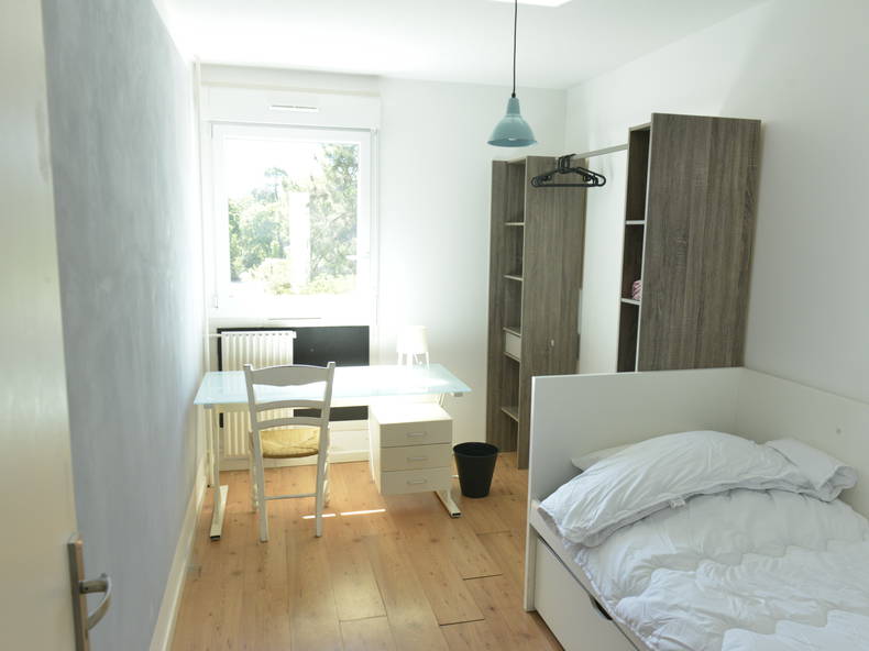 Colocation Talence 246181-1