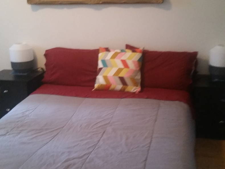 Colocation Montréal 264308-3