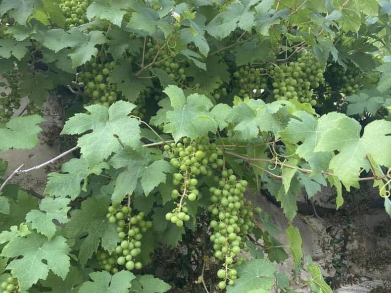 Collocazione Septmonts 312511-5