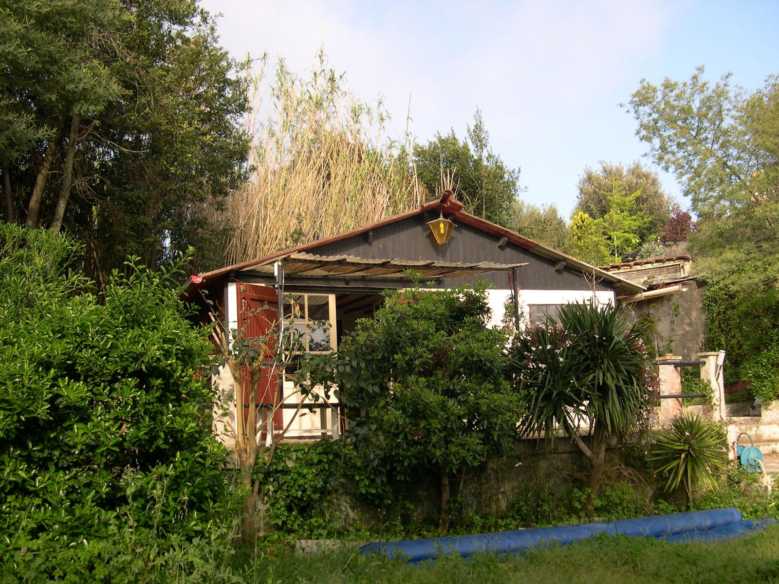 Estudio Independiente Hyères 69062
