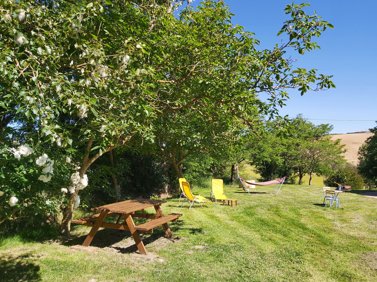 Homestay Lagarde 265426