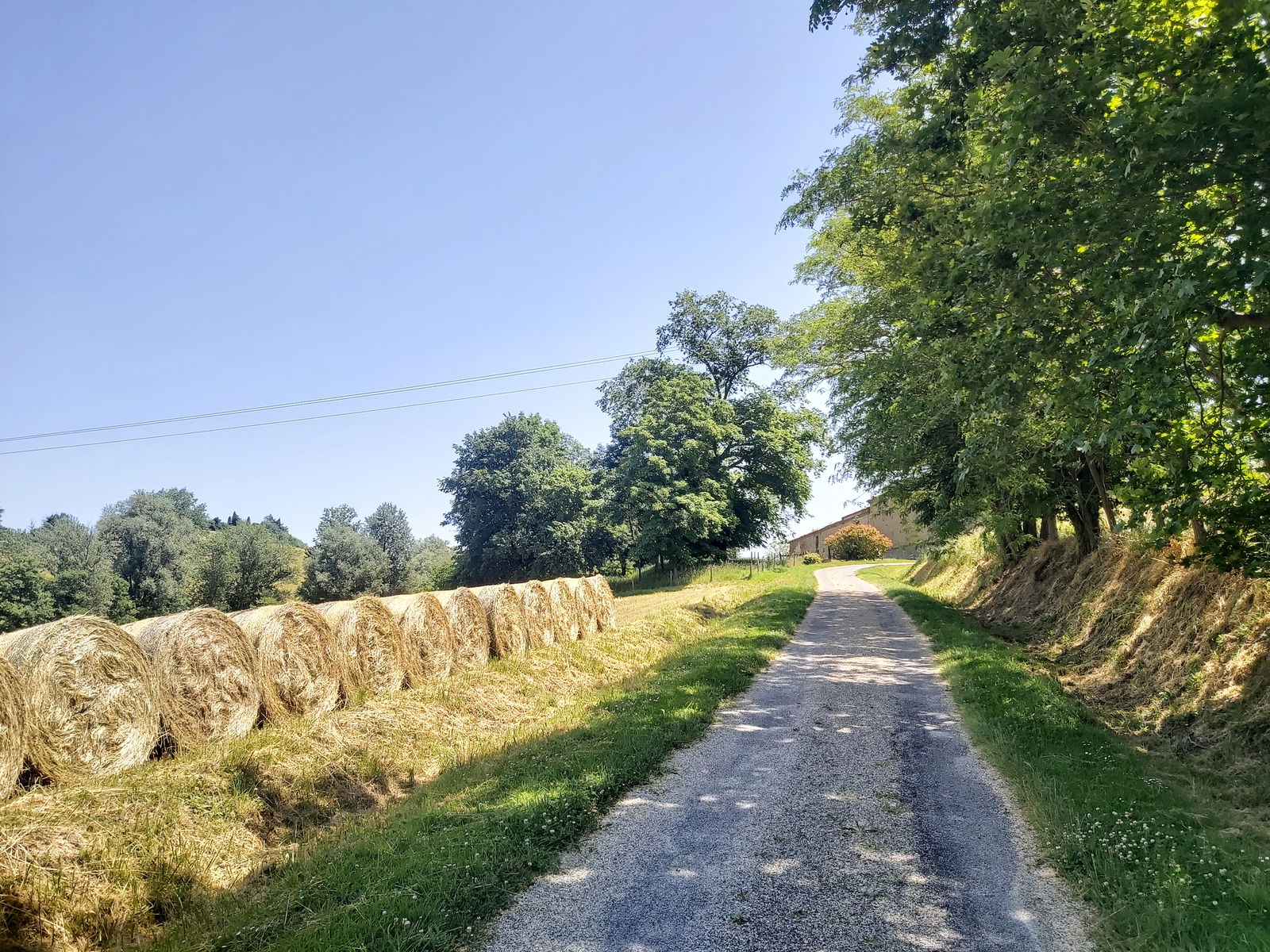 Gastgezin Lagarde 265426