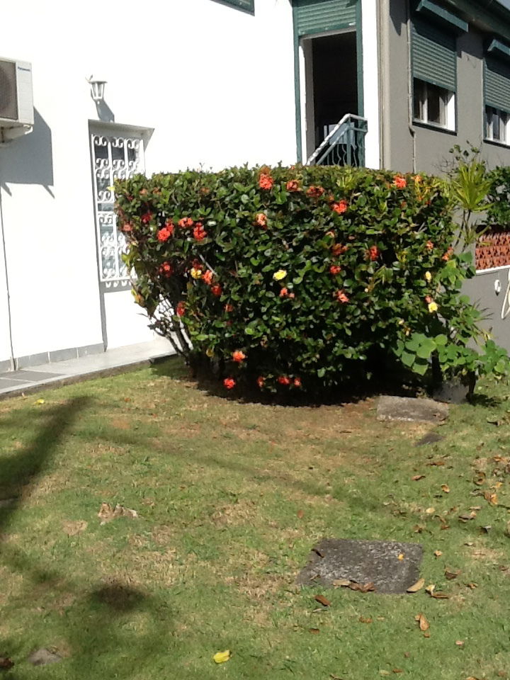 Homestay Fort-de-France 220161