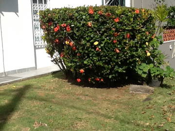 Chambre Chez L'habitant Fort-De-France 220161-4
