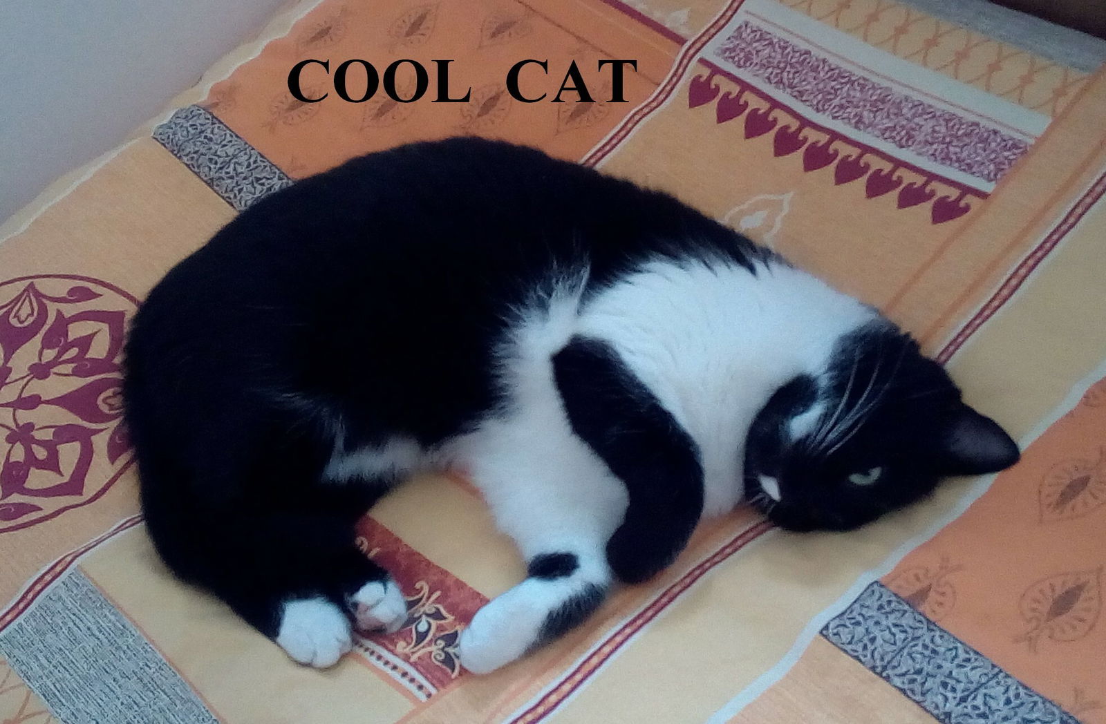 Famiglia Aytré 255385