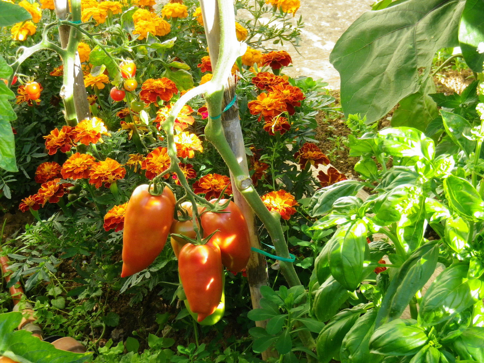 Homestay Aytré 255385