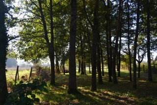 Homestay Ruaudin 141643