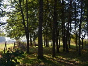 Quedarse En Casa Ruaudin 141643-7