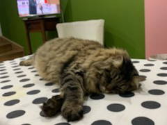 Chambre Chez L'habitant Chaingy 87263-11