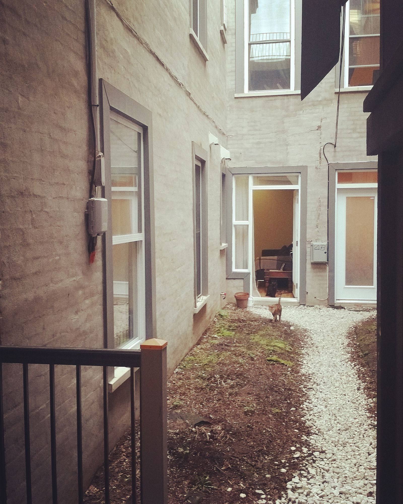 Colocação Montréal 135365