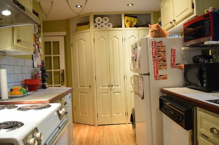 Colocação Montréal 137085