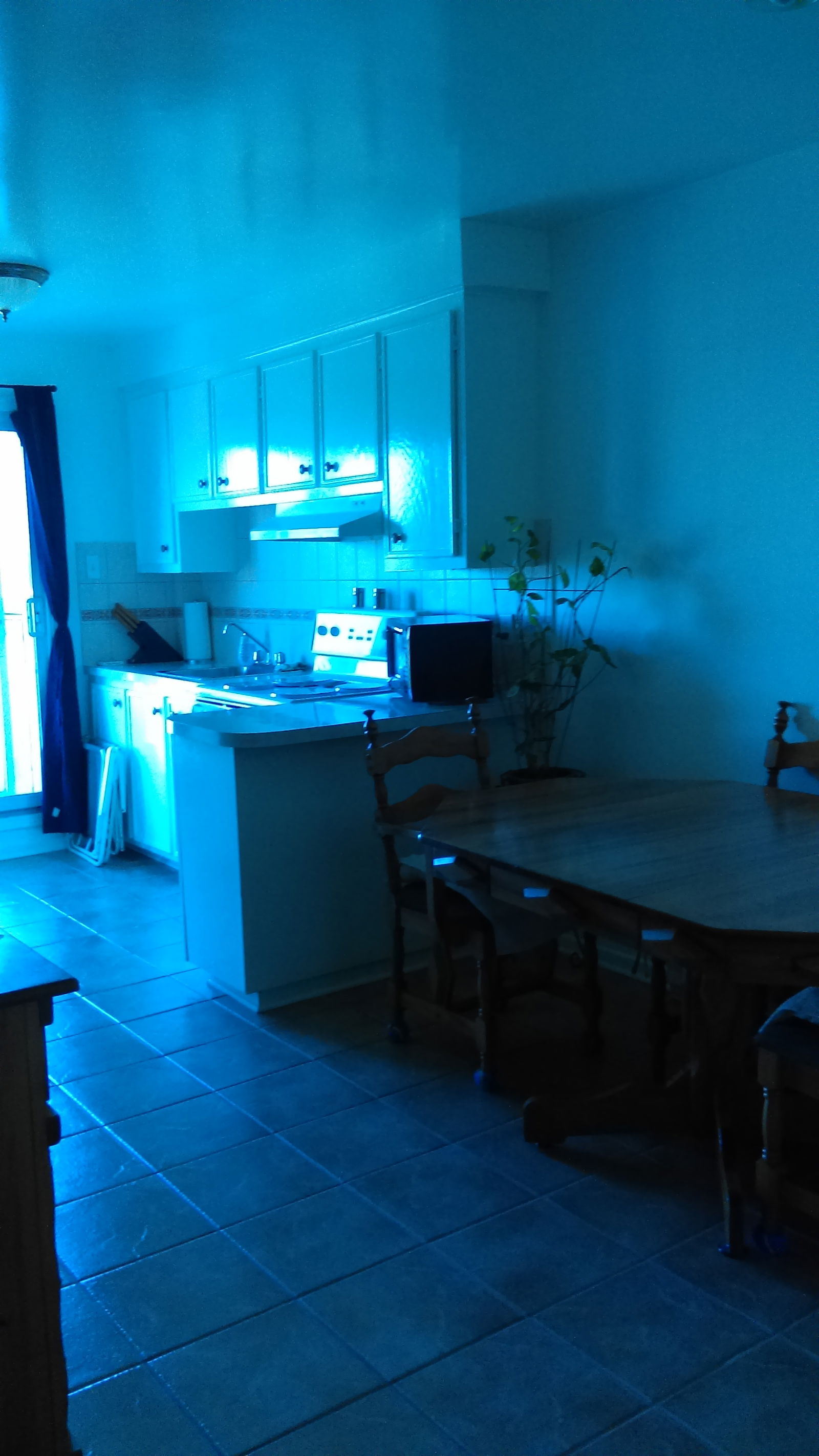 Colocação Montréal 126557