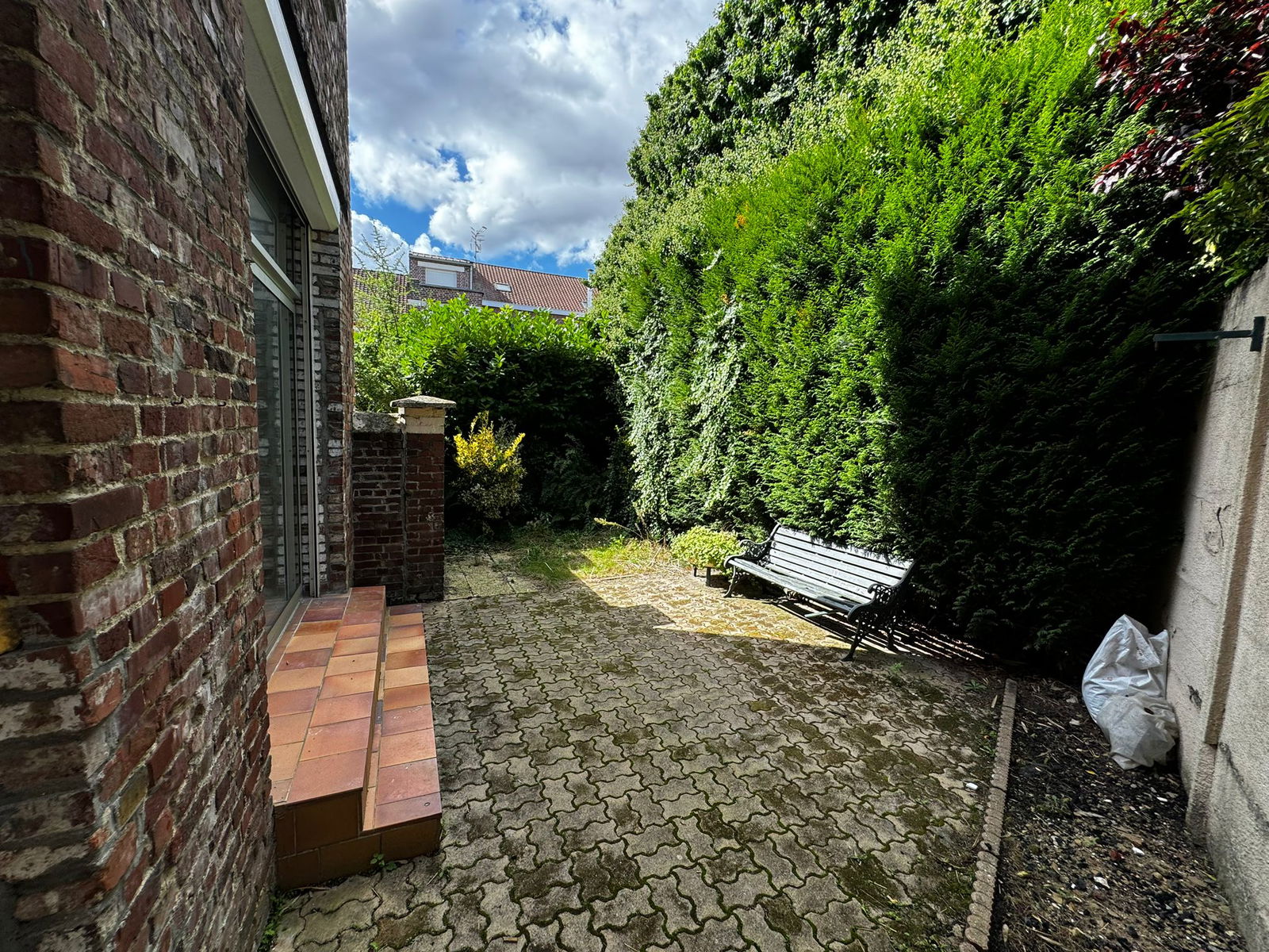 Coliving Lens 521113