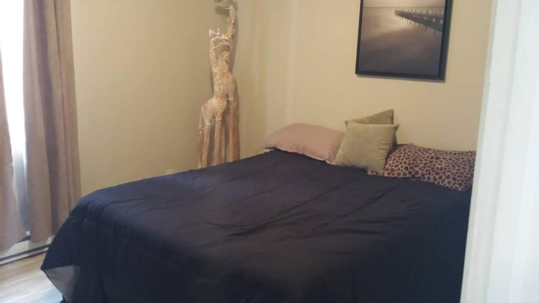 Coliving Montréal 673147