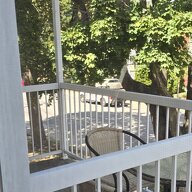 Coliving Montréal 673147