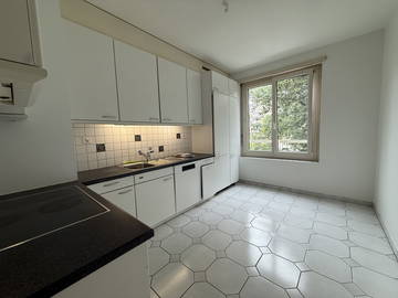 Entire home for rent in Lausanne - photo 9 : Other room-9