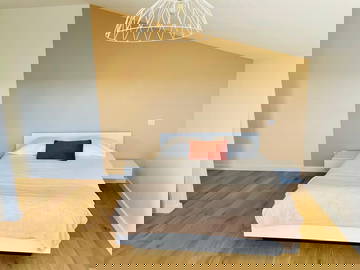 Coliving Colomiers 633517-1