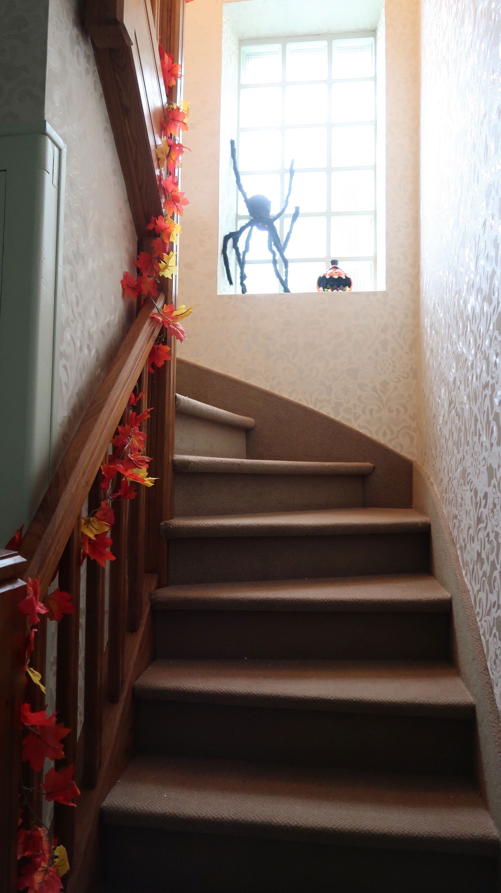 Coliving Taden 631994