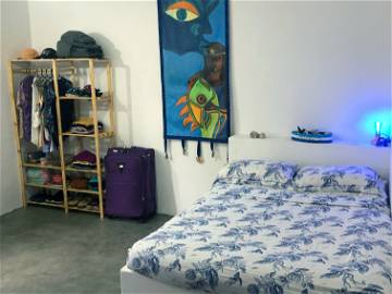 Coliving Cd. Juarez 324921-5