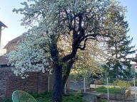 Coliving Argenteuil 390371-9