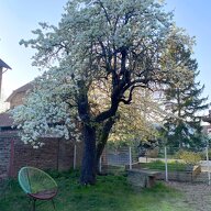 Coliving Argenteuil 390371