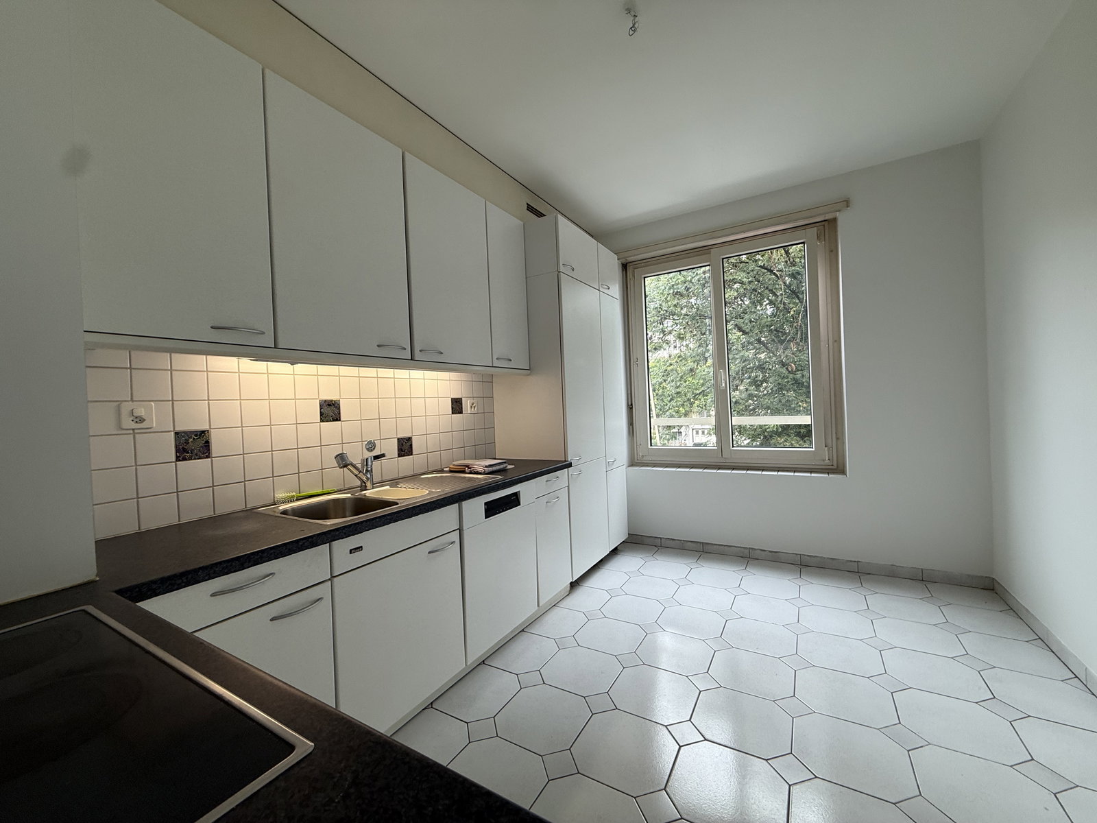 Gesamte Unterkunft Lausanne 676160