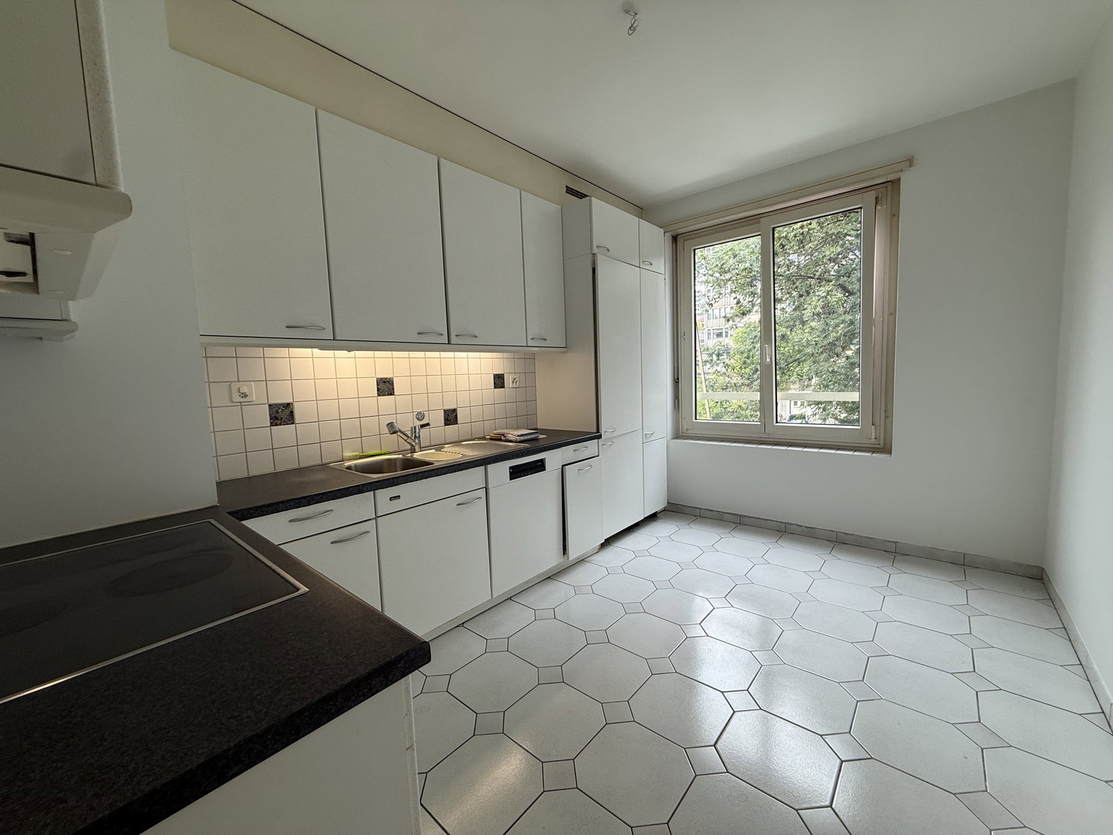 Gesamte Unterkunft Lausanne 676160