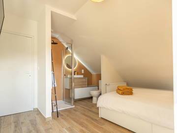 Coliving Mareuil-Sur-Cher 516982-8
