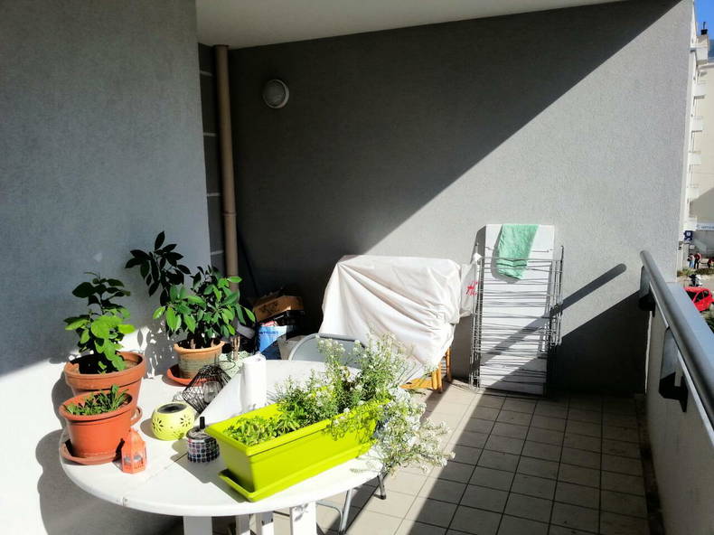 Colocation Grenoble 112706-3