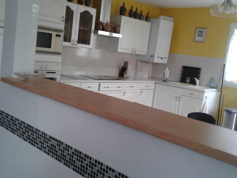 Colocation Blagnac 248875-4