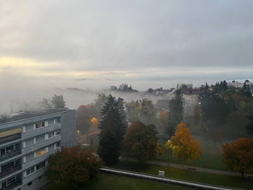 Colocation à louer à Fribourg - photo 7 : autre pièce-7