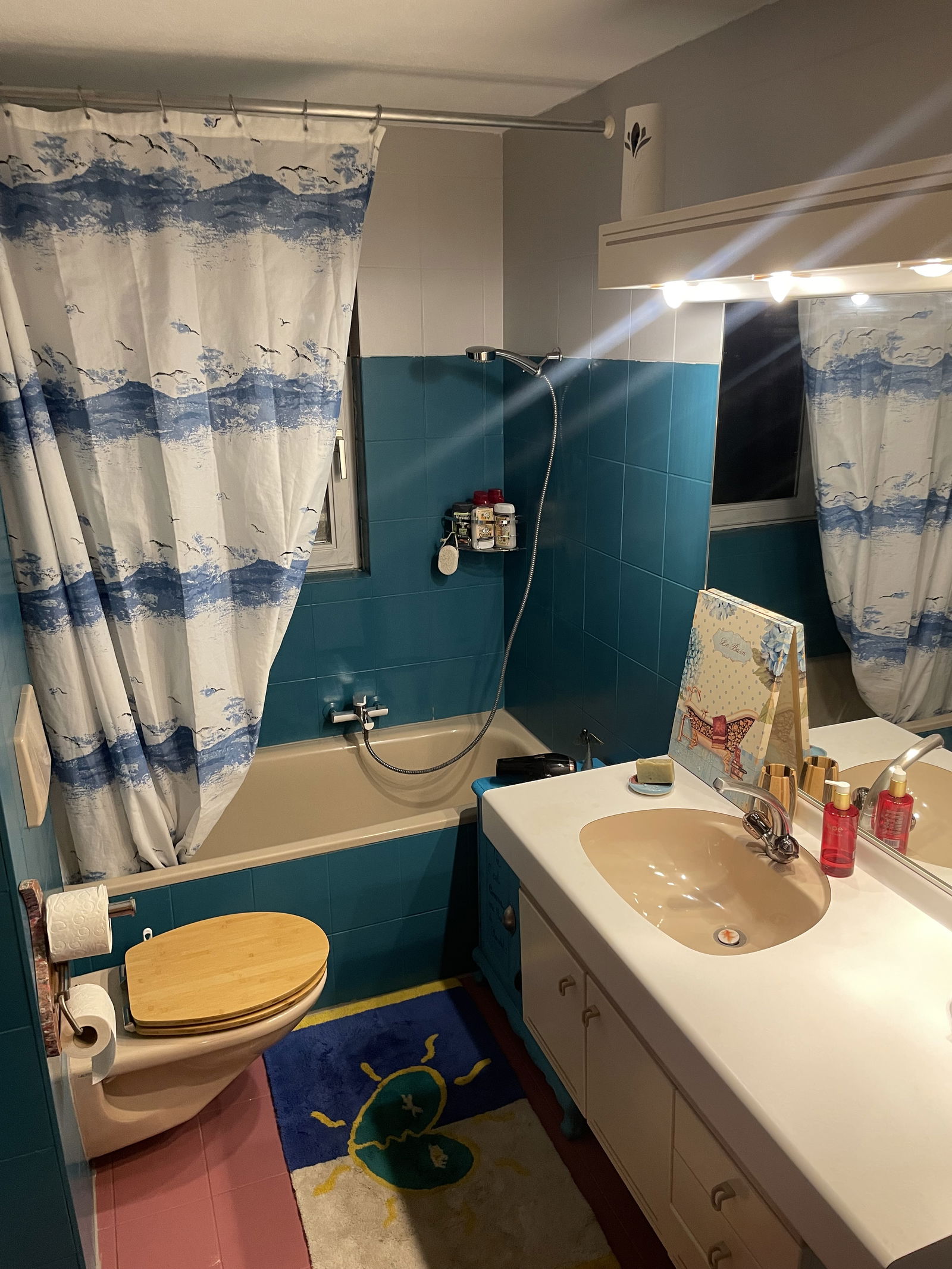 Colocation Pont-en-Ogoz 656061