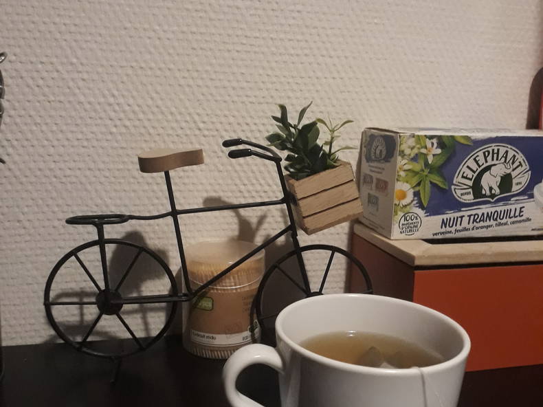 Colocation Strasbourg 246725-1