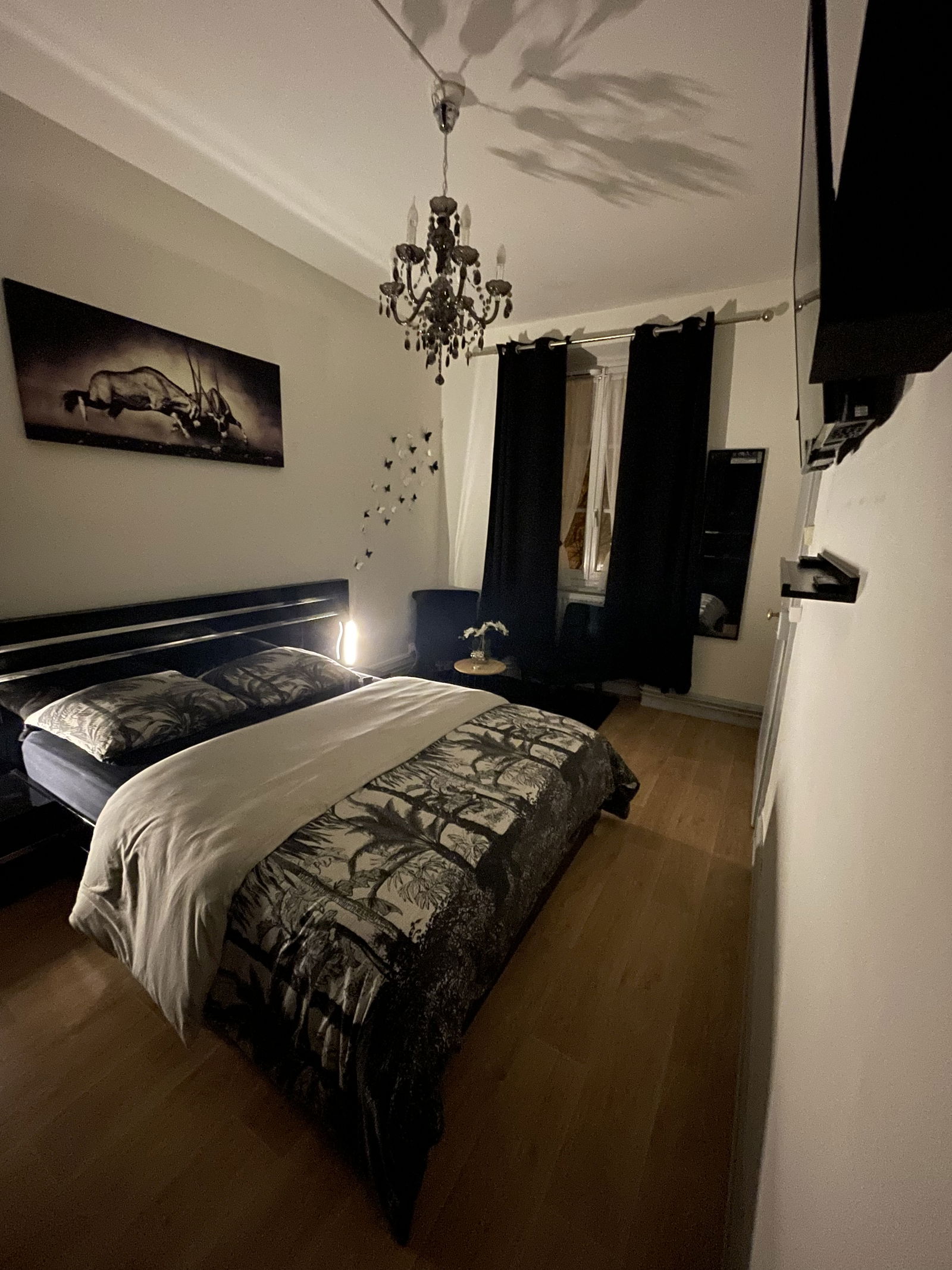 Colocation Strasbourg 246725