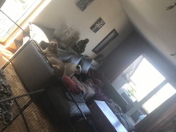 Chambre Chez L'habitant La Louvière 248132-5