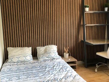Colocation à louer à Toulouse - photo 1 : chambre-1