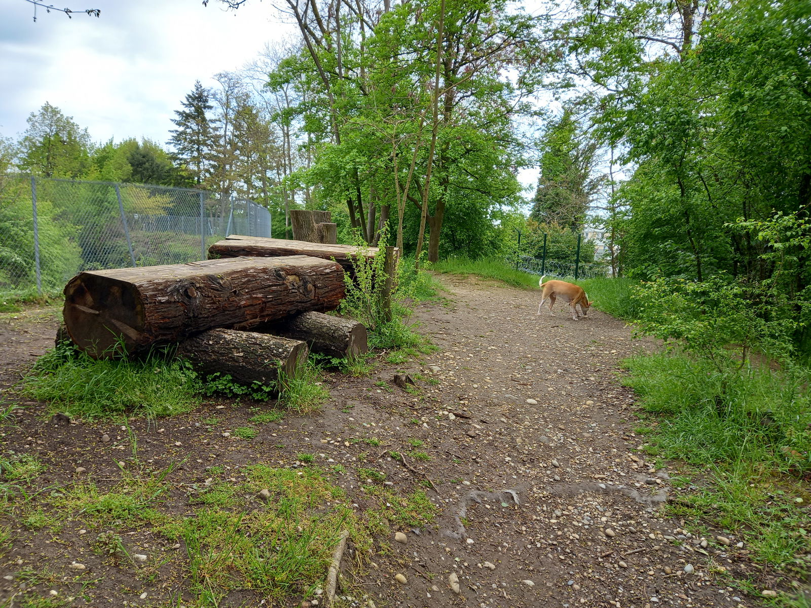 Chambre Chez L'habitant Bron 396630