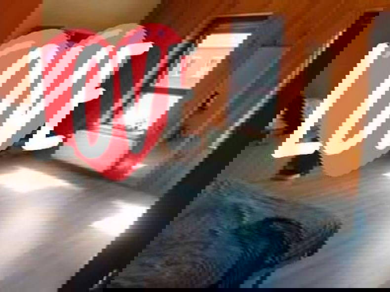 Kolokation Charleroi 605086-1