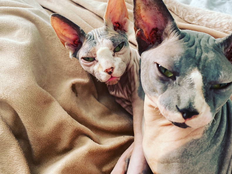 Colocation Mantes-la-Jolie 265737-4