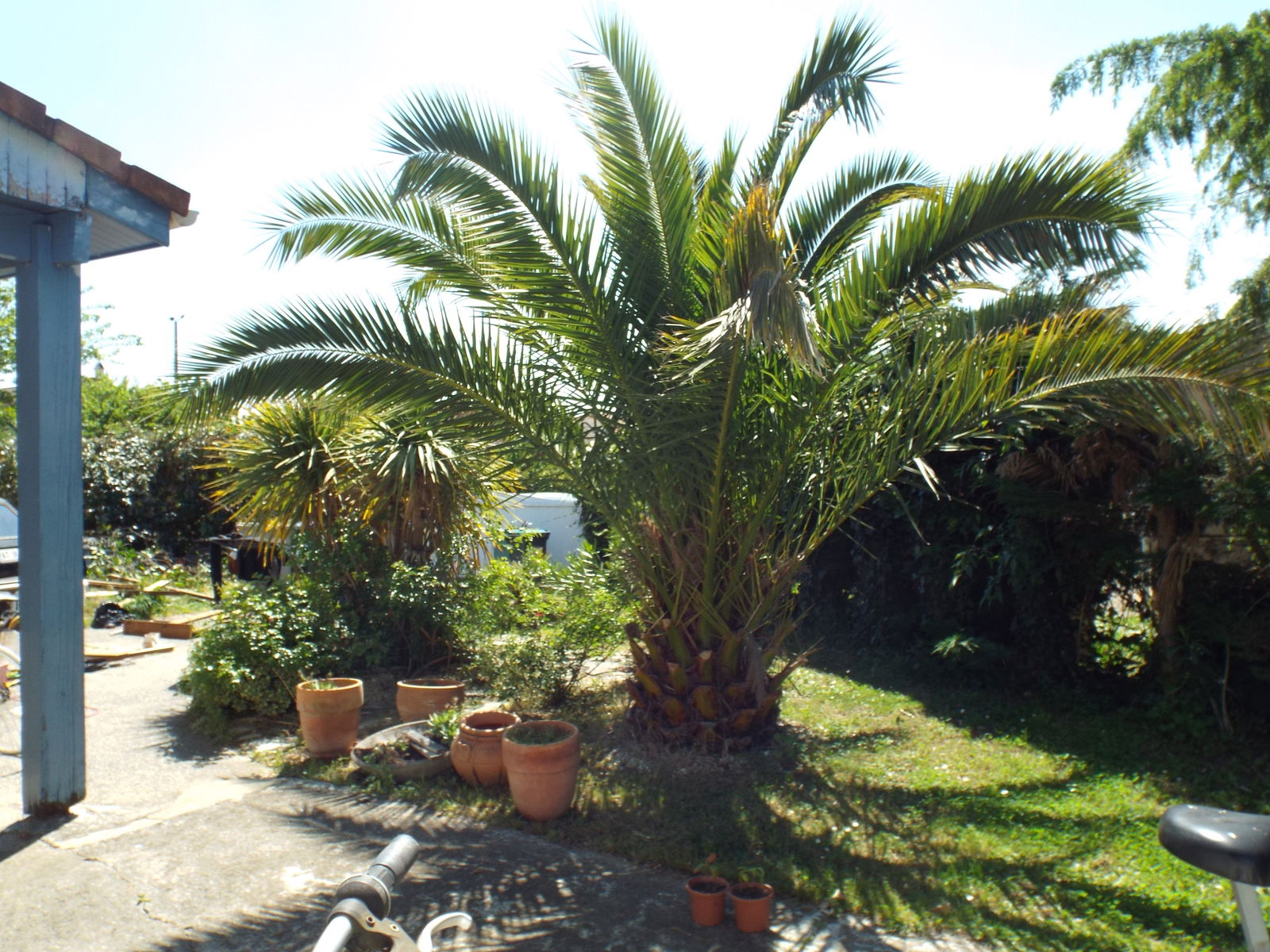 Famiglia Beauzelle 255867