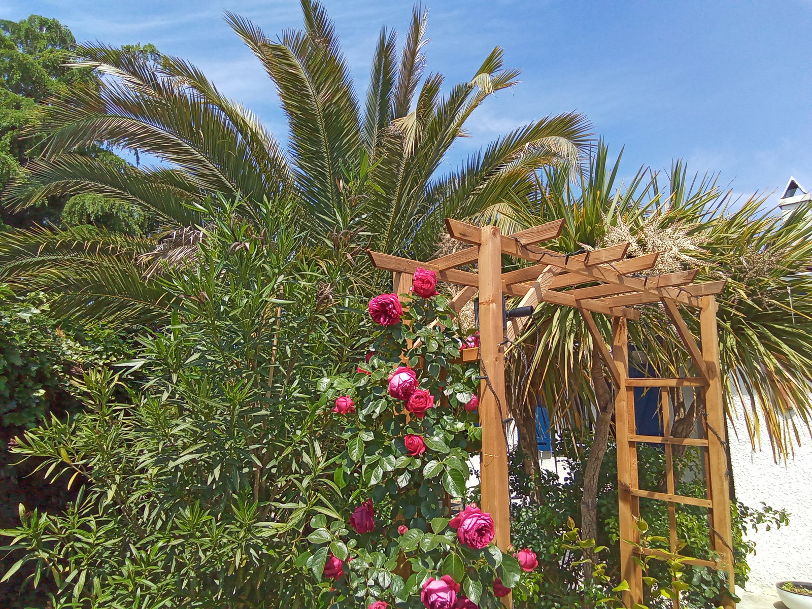 Famiglia Beauzelle 255867