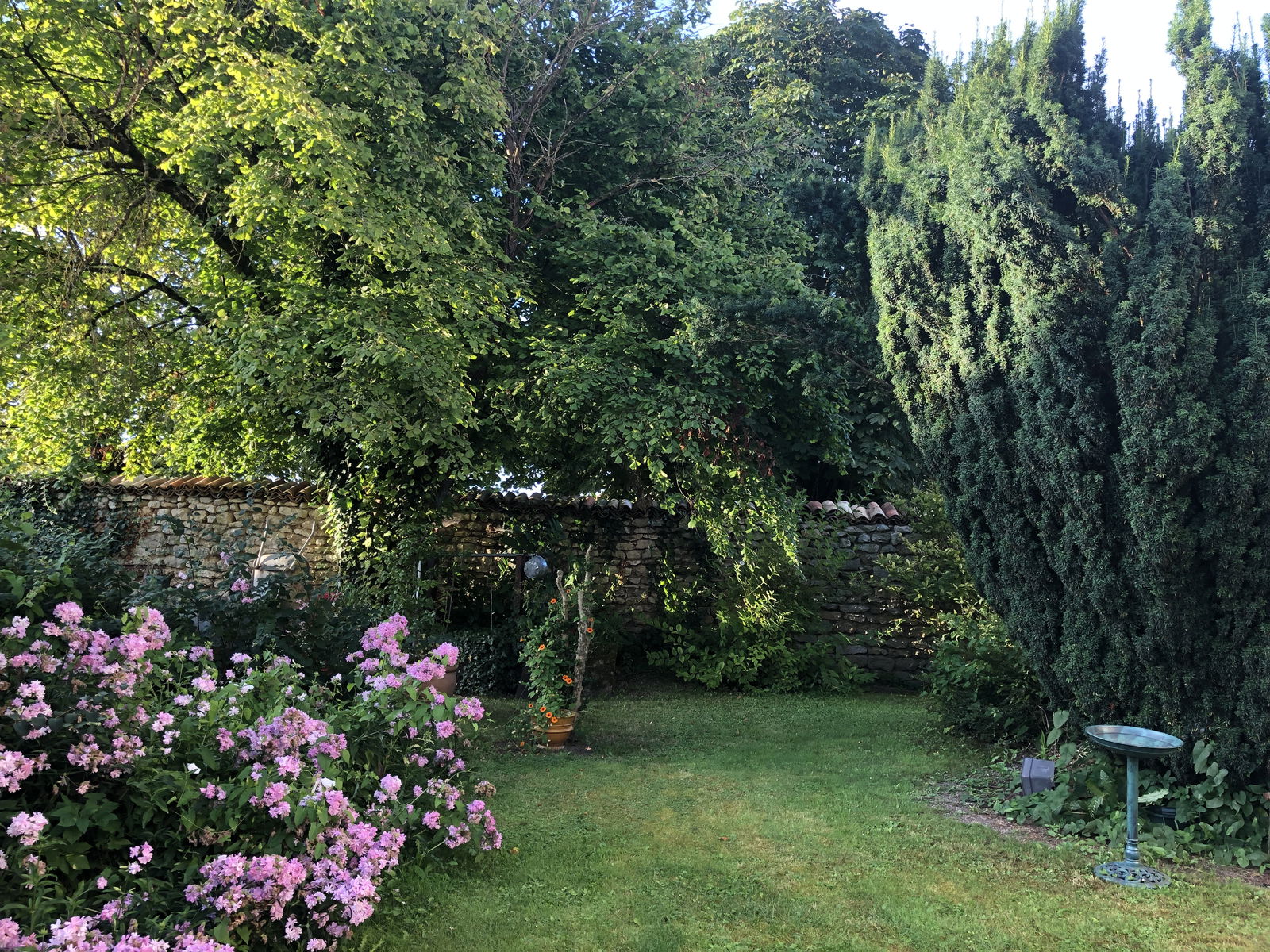 Collocazione Vignot 432115