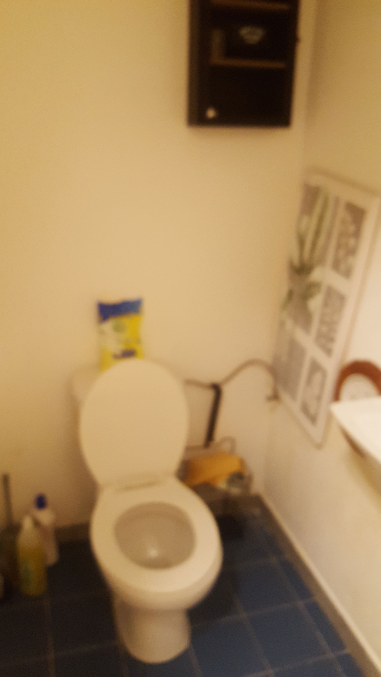 Kolokation Molenbeek-Saint-Jean 245591