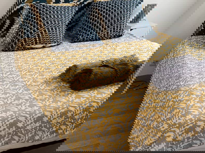 Colocation Marseille 475098-1