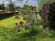 Shared Accommodation Vaux-Sur-Sûre 602735-3